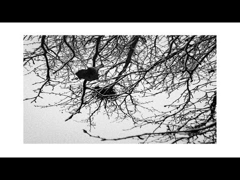 EDEN IVY - TAHKO (Prod. by LSL)