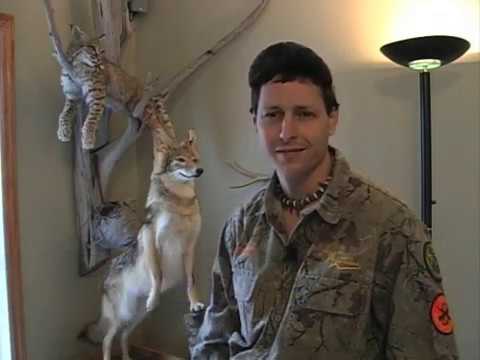 Predator Or Prey - Gun hunts for Coyote and the illusive Bobcat