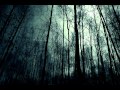 Dissolving of Prodigy - Otvírání studánek + Zasněný ...
