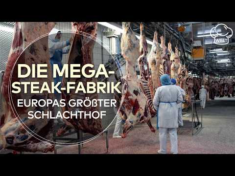 FROM BEEF TO LUXURY STEAK: Behind the scenes of Europe's largest slaughterhouse | FOOD DOCUMENTARY