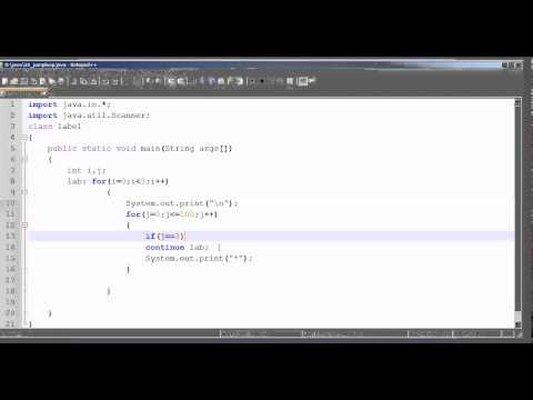 Jump Label Loop In Java Tamil