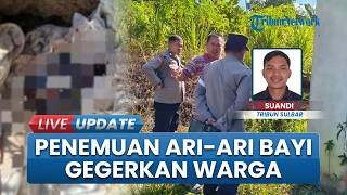 Bikin Geger, Ari-ari Bayi Ditemukan Terkubur di Lahan Warga Mamuju, Ternyata Milik Sosok Ini