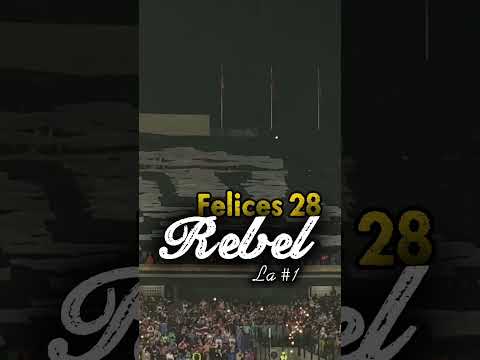 "Feliz 28 aniversario a la hinchada más fiel y pasional que hay #rebel #lbdp #pumasmx" Barra: La Rebel &bull; Club: Pumas &bull; País: México