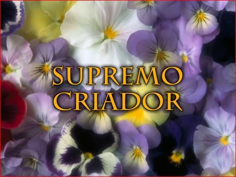 05 Supremo Criador