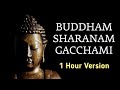 Buddham Sharanam Gacchami 1 Hour Version Sounds Of Isha Guruvin Madiyil