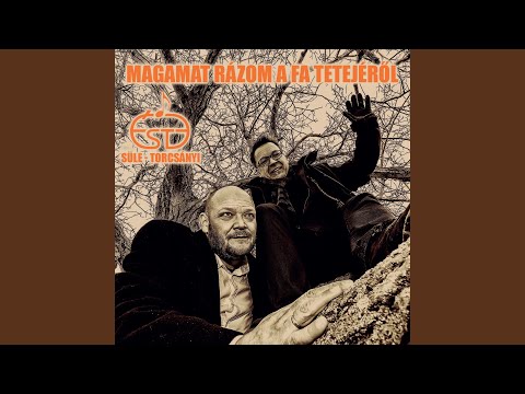 Szólások, mondások