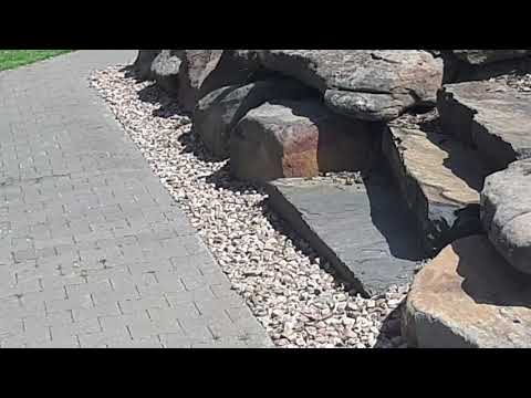 Giftigste Schlange in Australien begegnet (Work and Travel Australien)