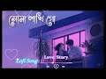 Sona Pakhi Go Lofi Song Slowed Reverb Lofi Song S