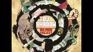 DJ Shadow - Organ Donor (Flirtphonic Remix)