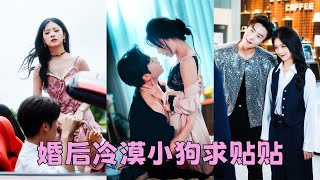 為拿回公司，沈青瓷閃婚了臭名昭著的席家太子爺席星野，領證當天這位爺霸氣放話「婚期一年，你凈身出戶」，她欣然答應，怎料1年後民政局門口一身反骨的男人卻放下紈絝姿態委屈巴巴：老婆，財產歸你，不離婚好不好？