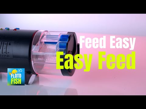 Watch Video on YouTube