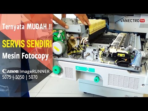 Penis kecil tidak tumbuh Bagaimana meningkatkan potensi propolis