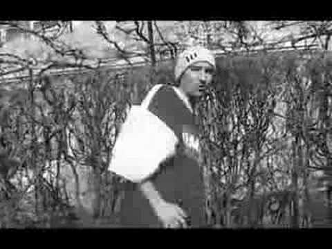 C.O.M. - Subintelesuri