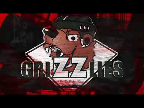 Kleines Finale #3 Steyr Panthers vs. Grizzlies Linz