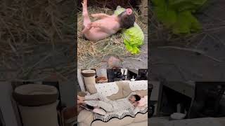 Download lagu This is my Cute Boyfriend #shorts #cute #love #couple #funny #viralvideo #foryou mp3 Download lagu This is my Cute Boyfriend #shorts #cute #love #couple #funny #viralvideo #foryou mp3