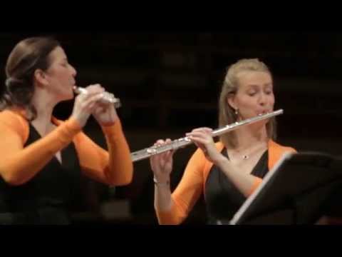 Neflac Lustrumconcert - I. Clarke 'Within'