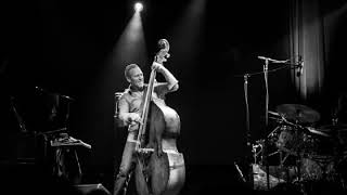 Avishai Cohen   Balkan
