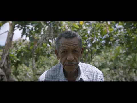 Carulla es Café: Mountain food impacto social.