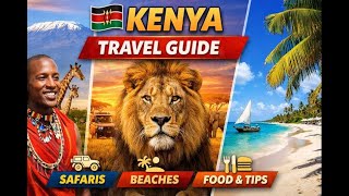 Kenya Travel Guide   Big Five, Beaches,Budjet 2026