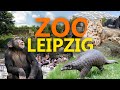 Zoo Leipzig - Der beste Zoo Deutschlands? | Zoo-Eindruck