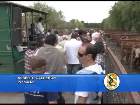 PABLO SAN CRISTOBAL - Martin G. Lalor S.A. - Tandil  - 30/10/2013