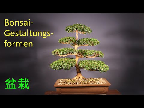 Bonsai-Gestaltungsformen