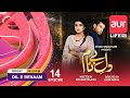 Pakistani Drama | Dil E Benaam | Episode 14 | aur Life Exclusive
