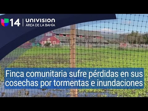 Finca comunitária de San José sofre perdas em suas compras por tormentas e inundações