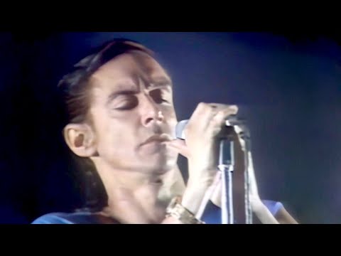 Iggy Pop | Dum Dum Boys | Live | Bingeman Park | Kitchener, Ontario | 4 December 1981