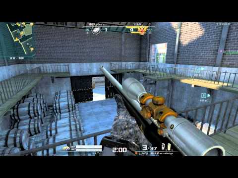 AVA CW 108 in FOX HUNTING