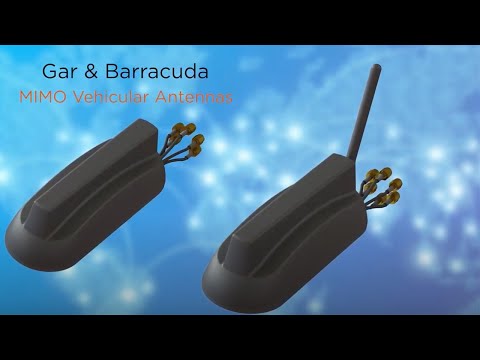 Gar and Barracuda Overview