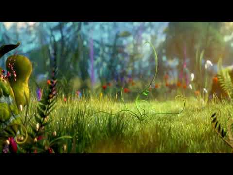 BIRTHDAY WISH | BEST WISHES