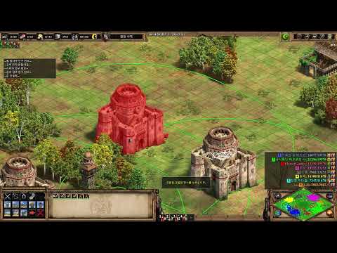 AOE2:DE Custom Game 134