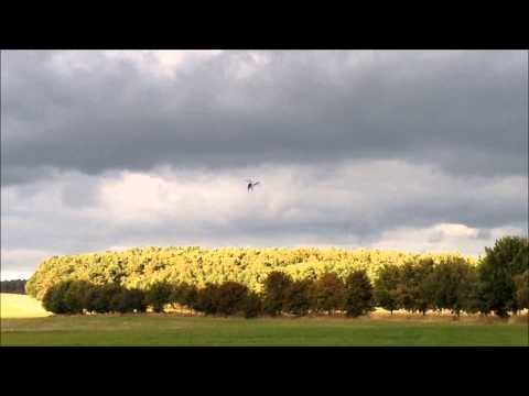 Three Dee Rigid - Henseleit TDR - Kunstflug - 3D - Maik