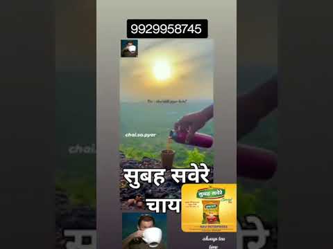 Broken pekoe organic tea, granules