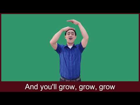 Read Your Bible Pray Everyday