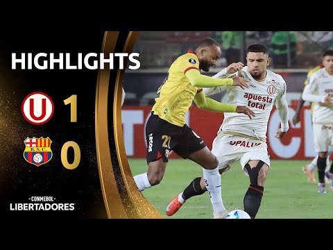 bg-highlight