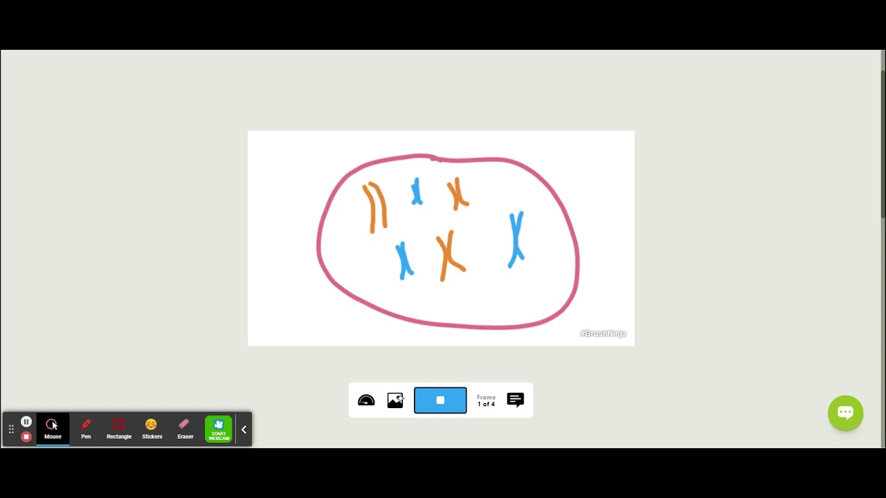 Using Brush Ninja Animation
