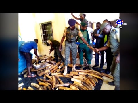 PIDGIN NEWS FRIDAY 23rd OCTOBER 2020 - EQUINOXE TV