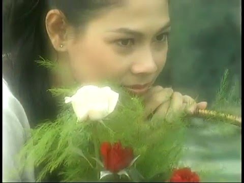 Chuyện đóa hồng (Chú cá trạch - Zhuō ní qiū - 捉泥鰍) - Thanh Thảo