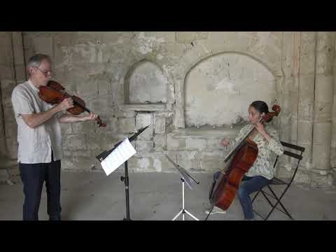 Pocket Concerto by Garth Knox (3/3): Airish Variations