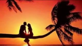 Wenn die Liebe dich vergisst  --  Christian Anders