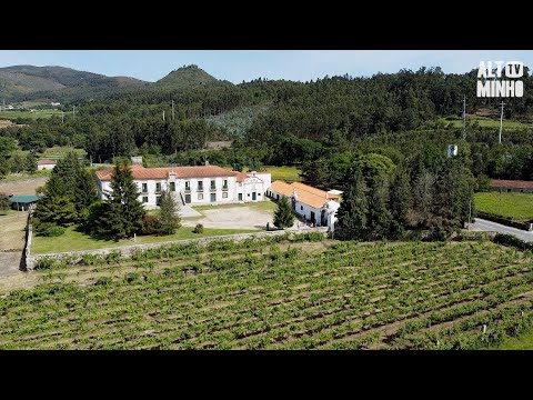 Empresa adquire quinta em Monção e cria nova marca de vinhos verdes | Altominho TV