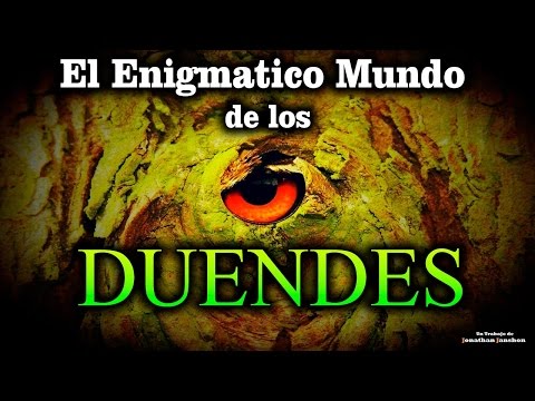 The enigmatic world of the Elves