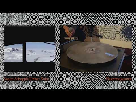 Susan Schuppli Ice Recordings