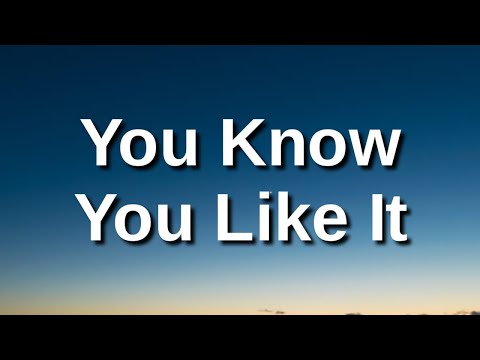 DJ Snake - You Know You Like It (Lyrics) I just wanna have some fun dont tell me what can be done