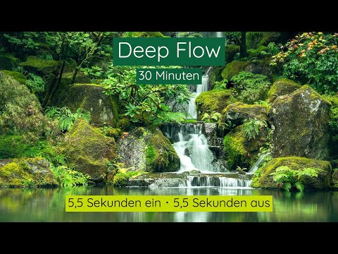 Kohärentes Atmen Rhythmus mit Solfeggio Frequenzen | 528 Hz & 174 Hz | 5,5 Sekunden ein/aus | 30 Min