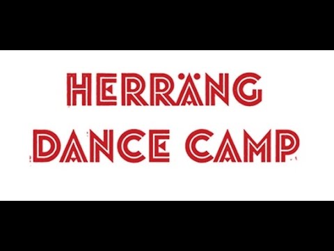 Bedlam Midnight Ramble - Hit That Jive (HDC 2014)