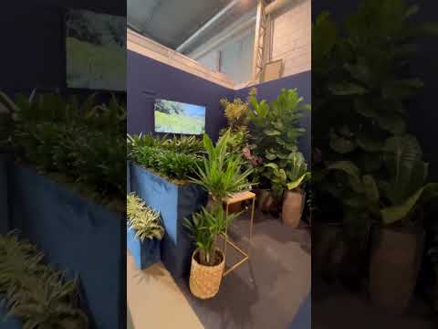 Visitando o Enflor Garden Fair em Holambra-SP #valmirpaesdesignfloral #flowers #saopaulo