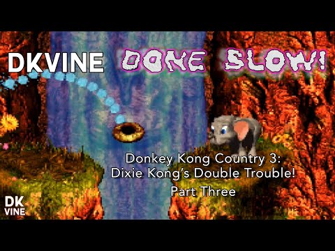 DK Vine Done Slow! - Donkey Kong Country 3: Dixie Kong's Double Trouble! (part three)